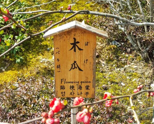 Houten plantenlabel huisje. Inspiratie voor de Japonais collectie. Temple garden plant label Kyoto.