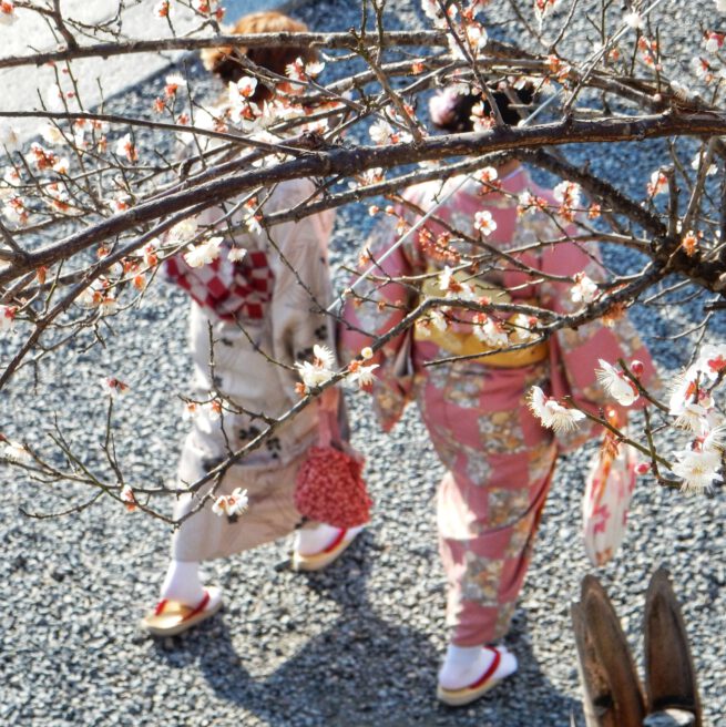 Dames in kimono onder de bloesems. Ladies in kimono in Kyoto. Inspiratie voor de Japonais collectie Oogst Amsterdam