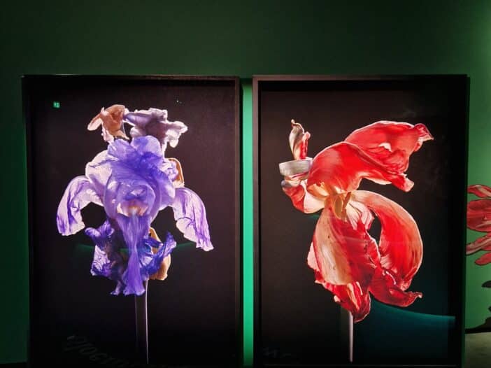 Blog over Geboortebloemen. Symboliek van de bloem per maand. Sieraden met maandbloemen. Inspiratie. Oogst Sieraden.