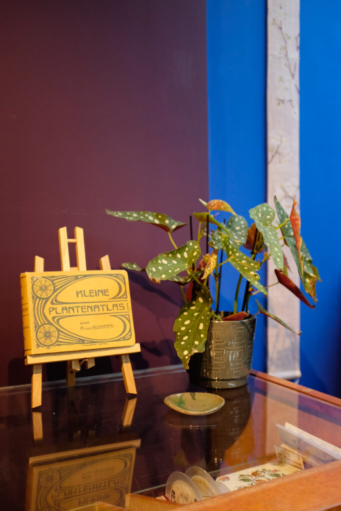 Collections, plants, books and more inspiration scattered around the studio.